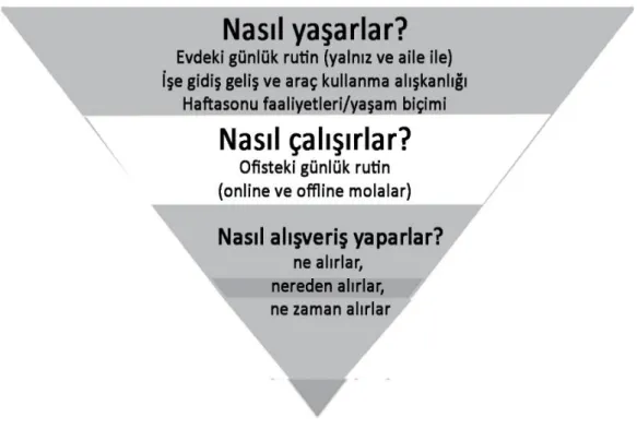 Şekil 1. Yaşam uzantısı piramidi 