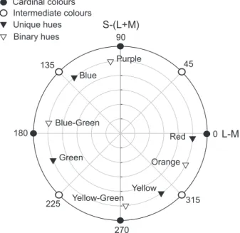 Fig. 3. Color angles employed in the experiment. Filled circles represent cardinal colors, open circles intermediate colors, ﬁlled triangles unique hues and empty triangles binary hues