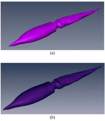 Figure 3. Surface obtained after segmentation. Above (30.-60.- (30.-60.-90.-120.-150.-180.-210.-240.-270.-300