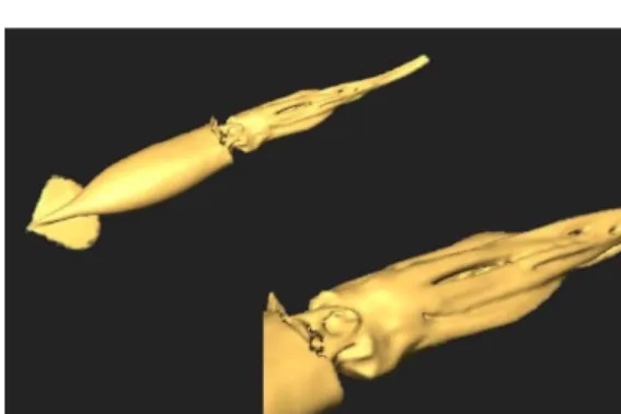 Fig. 4. Surface obtained after scan. 