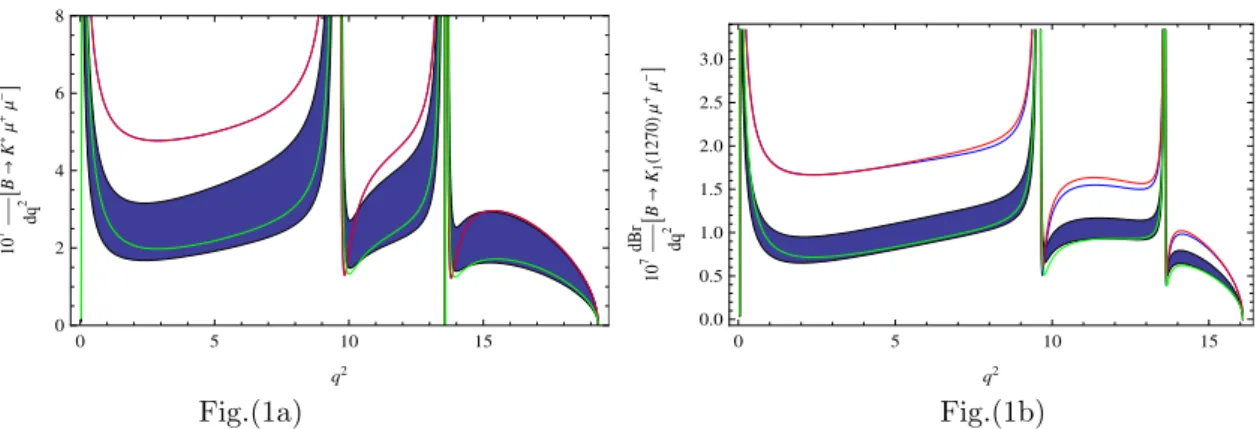 Figure 1 . Branching ratio of the B → K ∗ µ + µ − decay and the B → K1(1270)µ + µ − decay