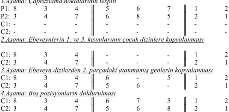 Şekil 3. LO’da Problemin Tanıtılması 