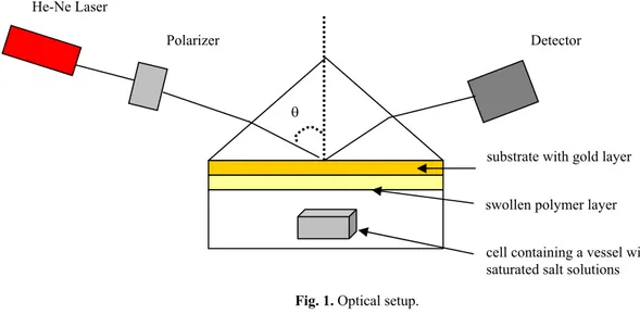 Fig. 1. Optical setup. 