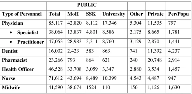 Table 2.1   Human resources for health services, 2000 (140) 