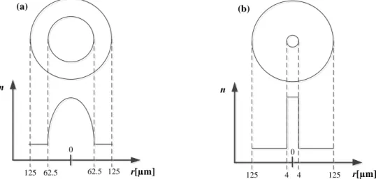 Figure 2.1: Standard geometrical parameters and index profiles for optical fibers  