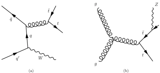 Figure 1. Example leading-order Feynman diagrams for (a) t¯ tW and (b) t¯ tZ production.