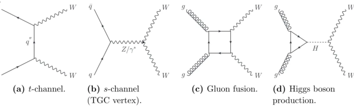 Figure 1. (a) The SM tree-level Feynman diagram for W W production through the qq initial state in the t-channel