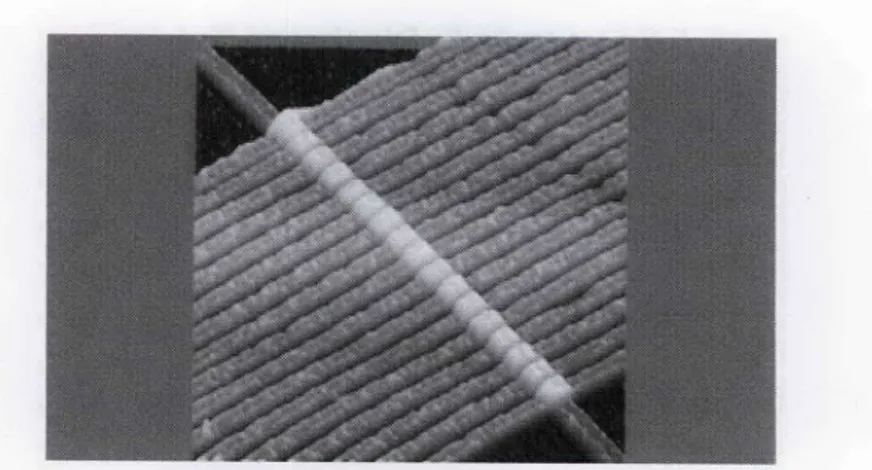 Figure  7. An  atomic-force  microscope  image  of  a simple  circuit (image  courtesy  of J