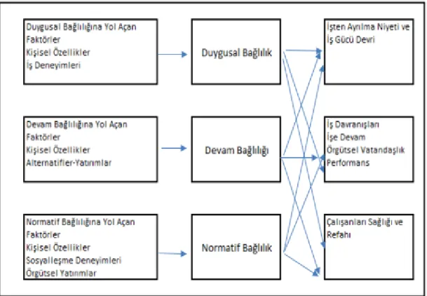 Şekil 3.3.   Üç Boyutlu Örgütsel Bağlılık Modeli   (Meyer ve Allen.2002)