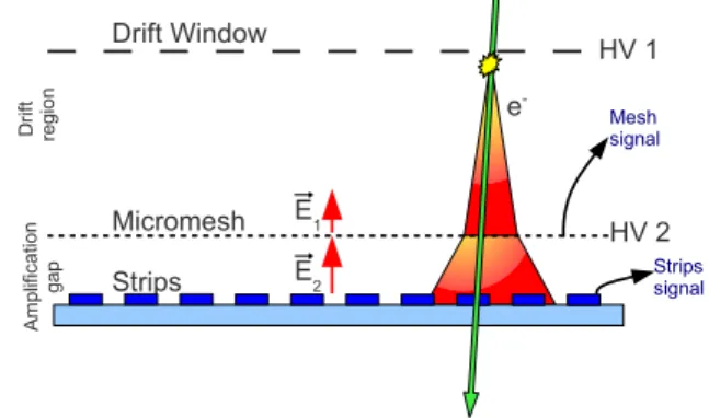 Figure 2. Illustration of micromegas detector’s