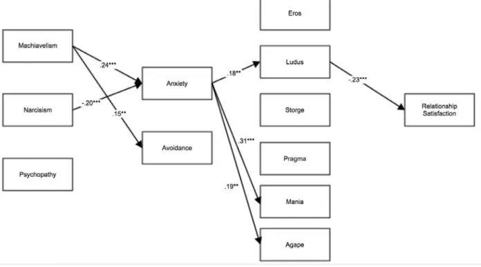 Figure 1. The Estimated Model 