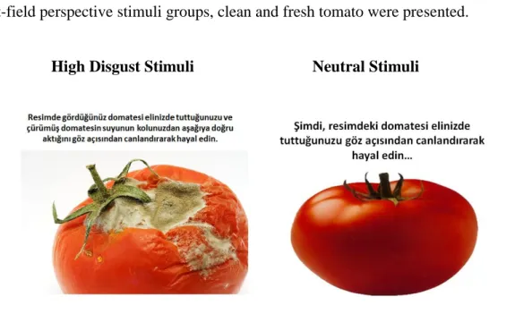 Figure 1.  First picture in high disgust and neutral groups 