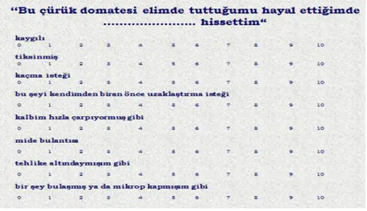 Figure 3.  Computer interface which includes the questions related to the emotion assessment 