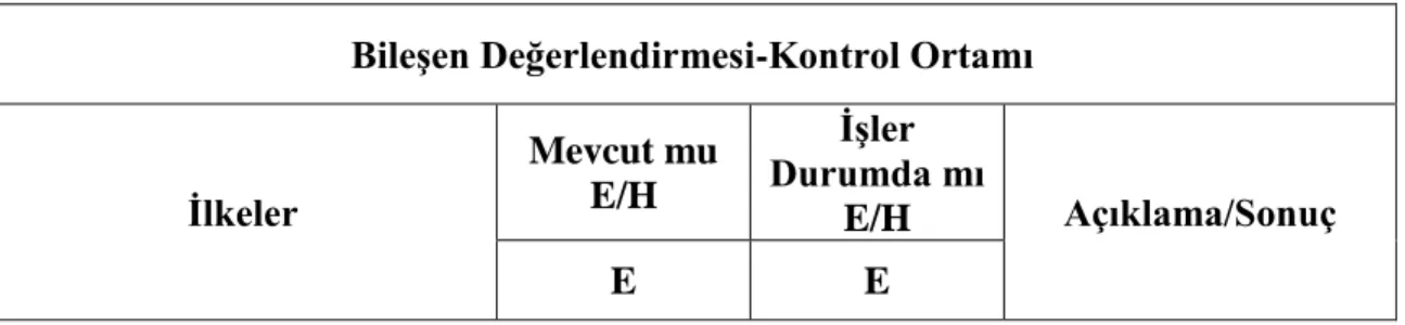 Tablo 1:  Bileşen Değerlendirmesine Örnek Tablo.
