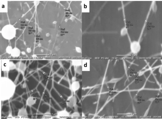Fig. 2   Fiber micromorpholo-