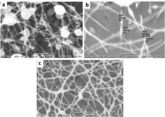 Fig. 4   Fiber micromorpholo-