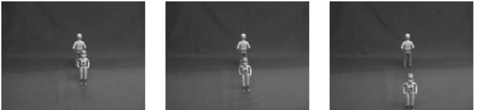 Figure 4. The dynamic testing item in which two dolls are located on a sagittal axis, face different 