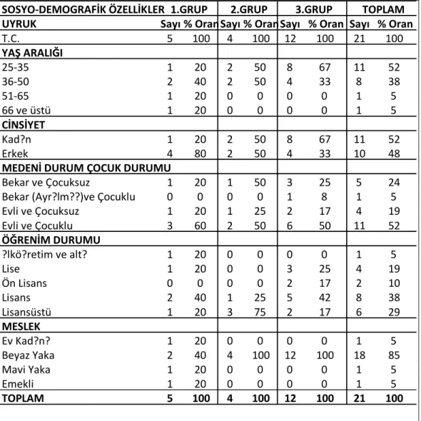 Tablo 1. Bireylerin Demografik Özellikleri 
