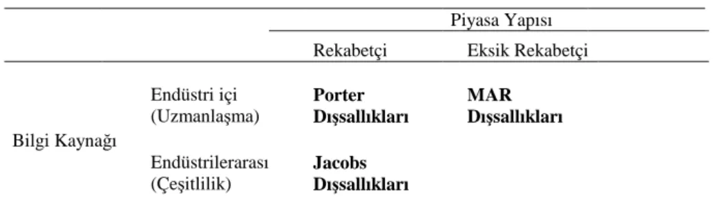 Tablo 1. Dinamik Dışsallık Türleri 