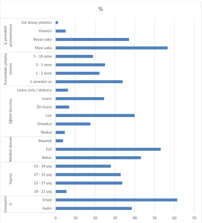 Şekil 5.1: Demografik Bilgiler Grafiği 