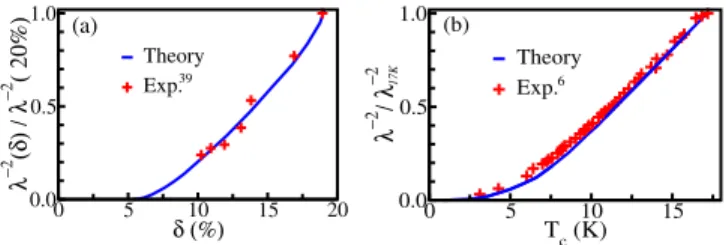 FIG. 4: (Color online) Experimental supports of predicted mass divergence via (a) non-linear doping dependence of  in-verse penetration depth and (b) non-linear correlation  be-tween inverse penetration depth and transition temperature T c .
