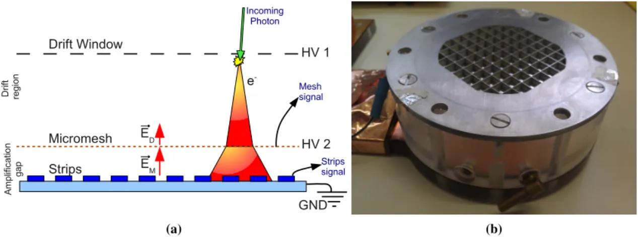 Figure 3. (a) The working principle of micromegas. (b) Chamber of a micromegas detector, with its drift window on the top.