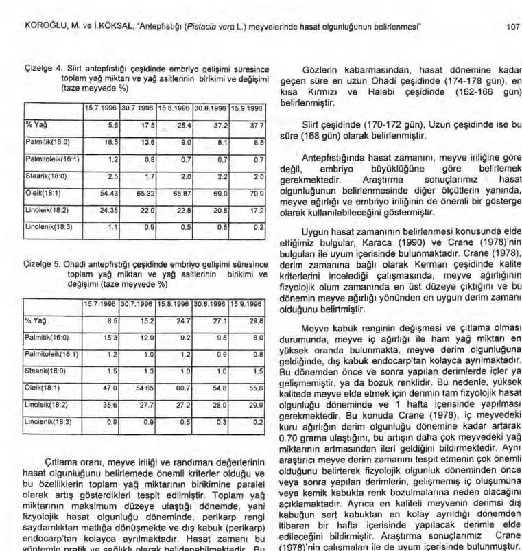 Çizelge 4. Siirt antepf ı st ığı   çe ş idinde embriyo geli ş imi süresince  toplam ya ğ   miktar ı   ve ya ğ   asitlerinin birikimi ve de ğ i ş imi  (taze meyvede %)  15.7.1996  30.7.1996  15.8.1996  30.8.1996  15.9.1996  %  Ya ğ  5.6  17.5  25.4  37.2  3