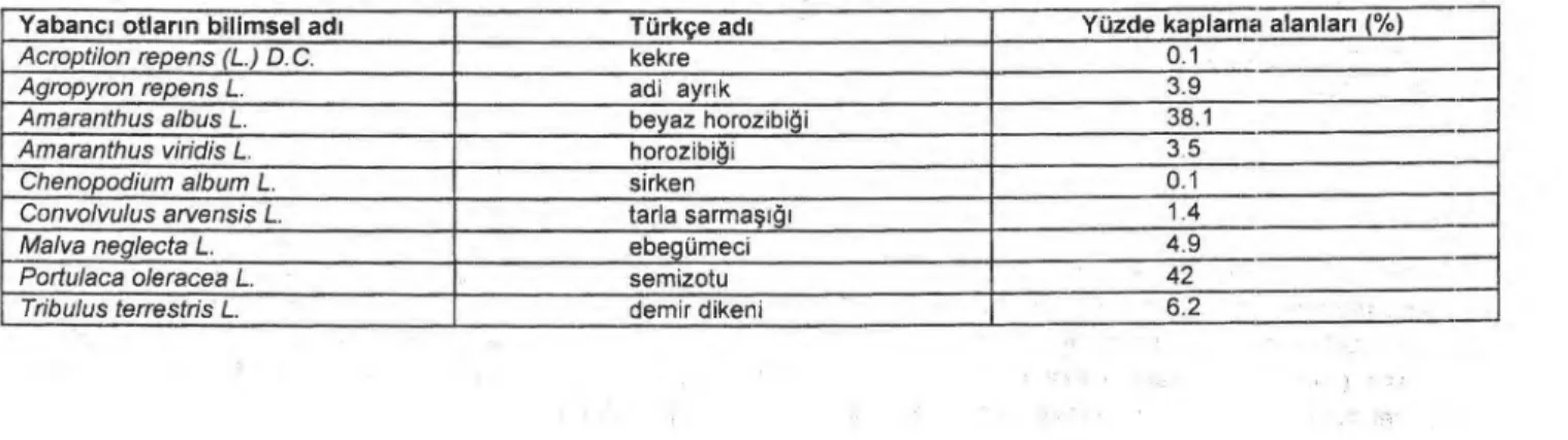 Çizelge 5. Deneme parsellerinde görülen yayg ı n yabancı   otları n yüzde kaplama alanlar ı  