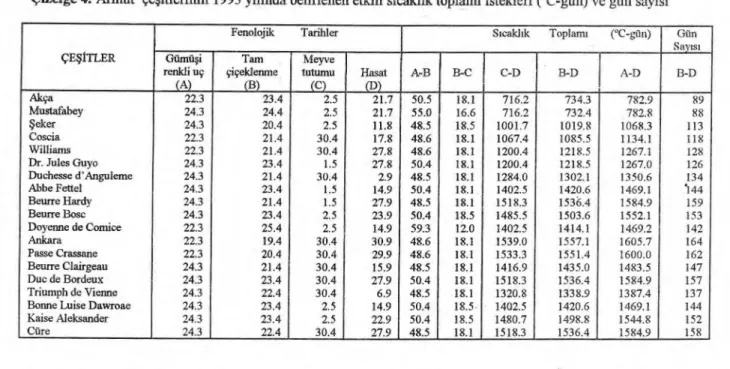 Çizelge 4.  Armut çe ş itlerinin 1993 y ı l ı nda belirlenen etkili s ı cakl ı k toplam ı   istekleri (°C-gün) ve gün say ı s ı 