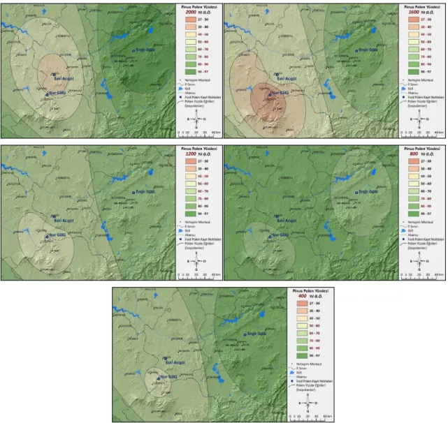 Şekil 4. Pinus (Çam) cinsine ait izopolen haritaları (G.Ö. 2000, 1600, 1200, 800, 400 yıl)