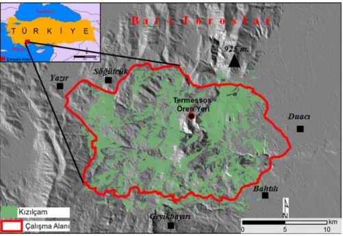Foto 1.  Termessos Milli Parkı ve Kızılçam ormanı. 