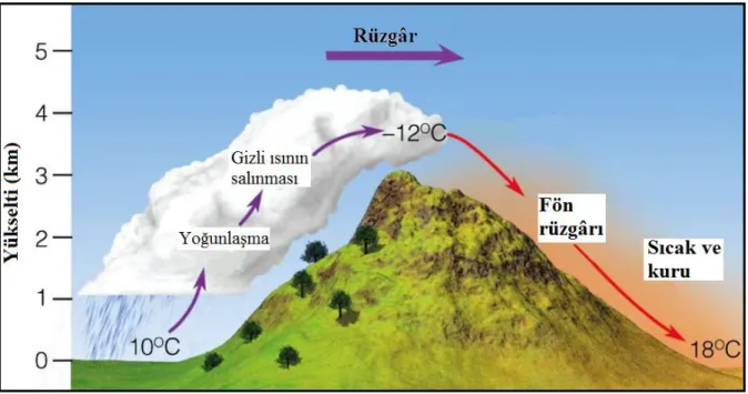 Şekil 2. Fön rüzgârlarının oluşumu (Thomson Higher Education, 2007’den değiştirilerek düzenlendi)