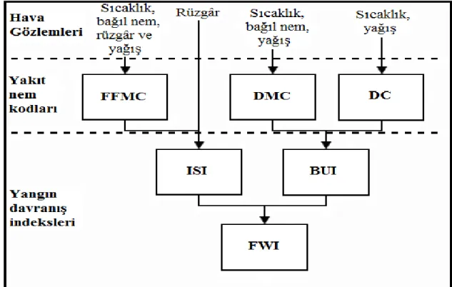 Şekil 3. FWI ve alt bileşenleri. 