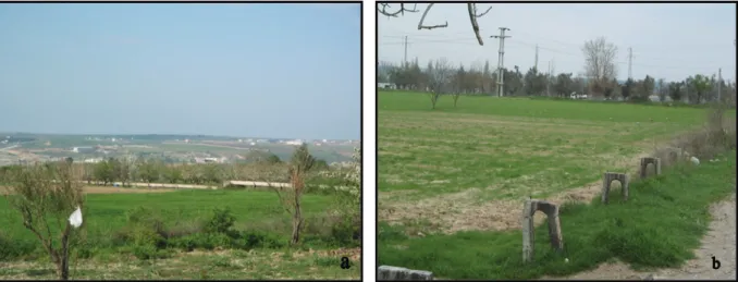 Foto 2. Sarıcaeli Köyü’nde tarımsal alanlar ile kullanılan sulama kanalları (a) ve terkedilmiş sulama kanalları (b)  