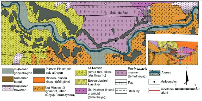 Şekil 2. Çalışma alanının jeoloji haritası. 