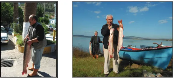 Foto 2 ve 3. Gölden avlanan bir sazan balığı (solda) ve göldeki balıkçılık faaliyetlerinden bir görünüş (sağda)                 Yörede balıkçılık yapanların sayısı gün geçtikçe azalmaktadır (Foto 4 ve 5)