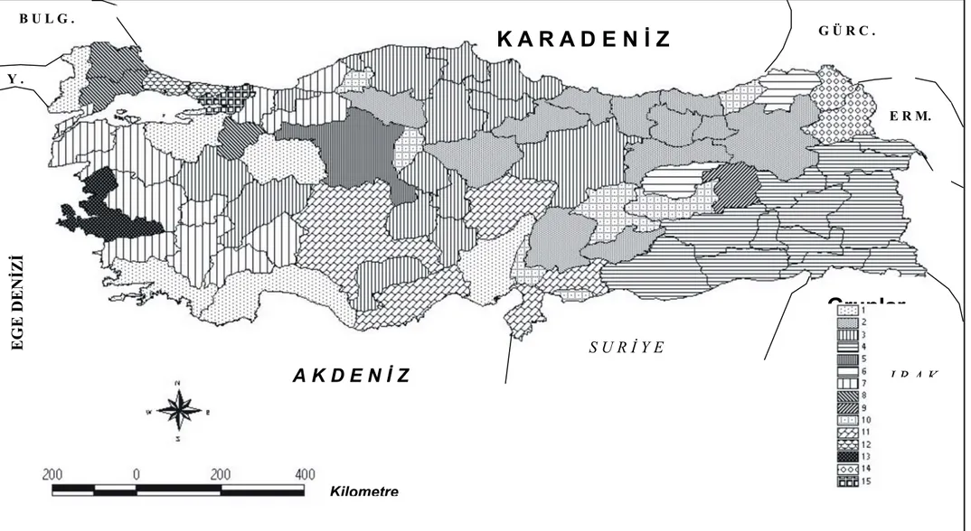 Şekil 1. Türkiye’de illerin  sosyo-ekonomik kriterlere göre 15 gruba ayrılması 