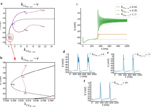 Figure  3.  Bifurcation  analysis  for  BK near -activation  curve  parameter  k Ca BK−near   during 