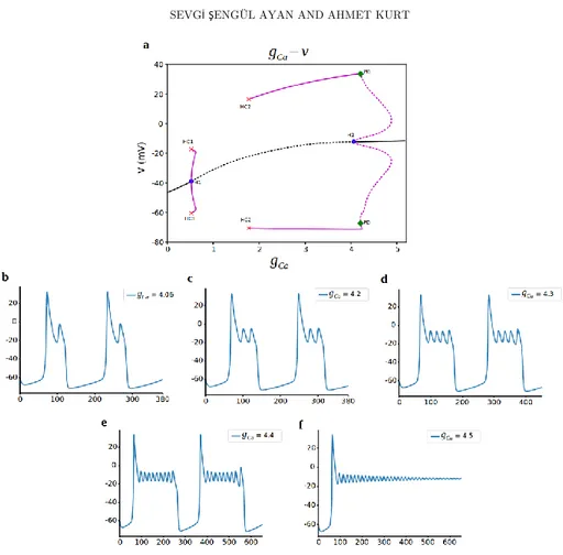 Figure  6.  Bifurcation  analysis  for  L-type  Ca  current  conductance  