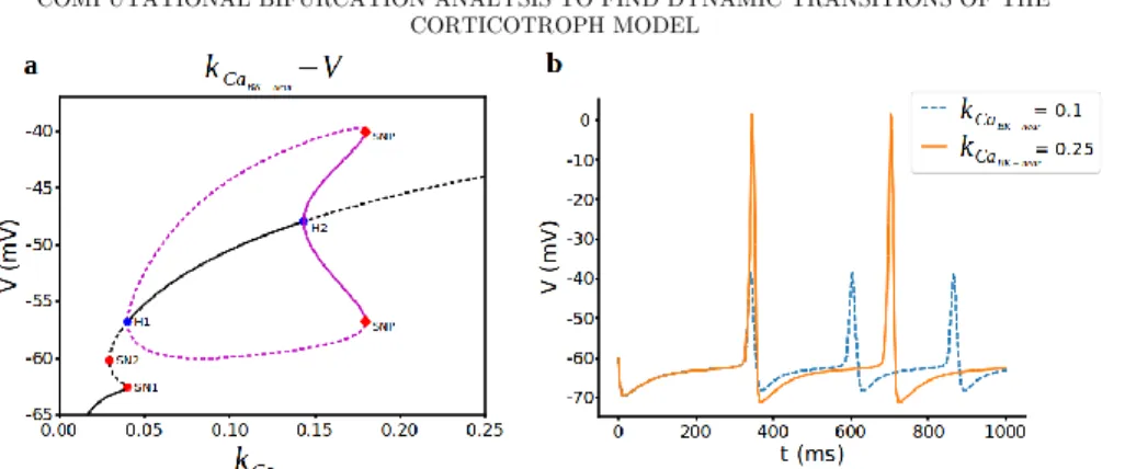 Figure  2.  Bifurcation  analysis  for  BK near -activation  curve  parameter  k Ca BK−near   during  spiking regime