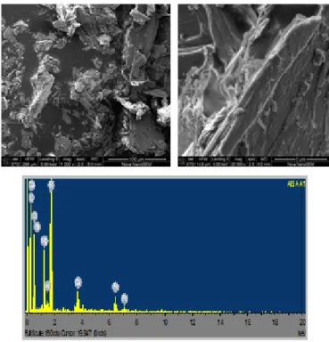 Figure 8. SEM and EDS images of leached talc product by acetic solution  at optimal conditions