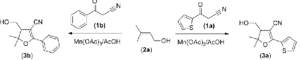 Figure 2. Reaction of 1a, b with 2a. 