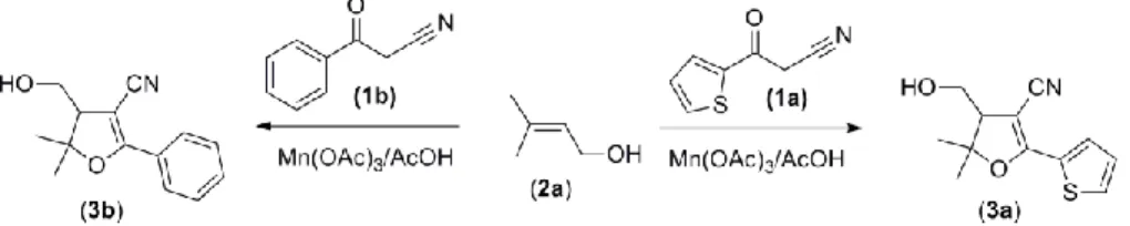 Figure 2. Reaction of 1a, b with 2a. 