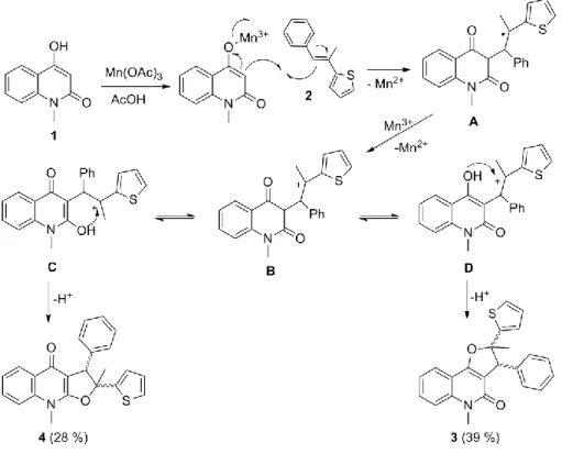 Figure 6. Proposed mechanism for the formation of dihydrofuroquinolinones. 
