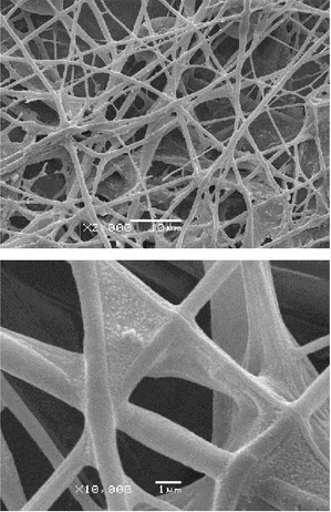 Figure  1.  Representative  SEM  images  of  urease-immobilized  nanofiber  coatings on coverslips