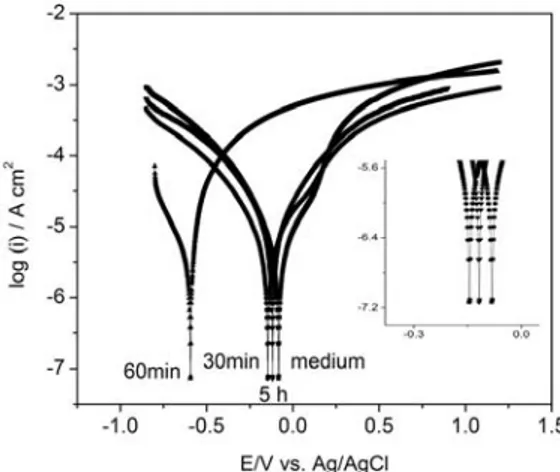 Fig. 2.  Polarization curves of Ni-Co alloys in medium for 5h and medium with  bacterium for 30, 60 min and 5h