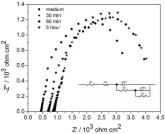 Fig. 3. The EIS and equivalent circuit Ni-Co alloy in the medium and medium with  bacterium