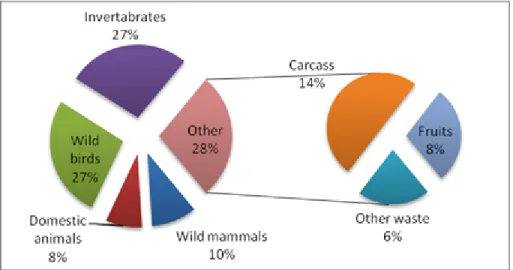 Figure 5. Overall diet composition of red fox in Beytepe Campus between     2010 – 2013  