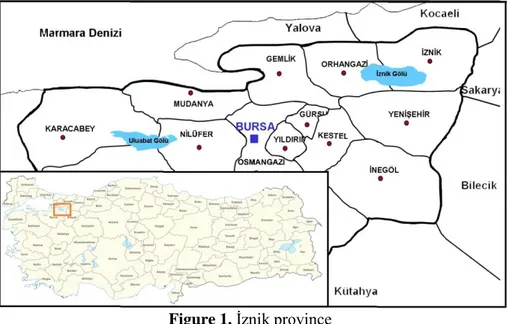 Figure 1. İznik province 