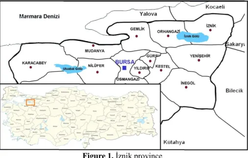 Figure 1. İznik province 